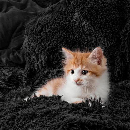 Lenjerie de pat moale și confortabilă Snuggbed - Negru (180x200 cm)